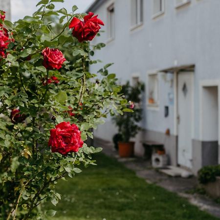 Ferienwohnung Morgensonne Schützen am Gebirge Eksteriør bilde